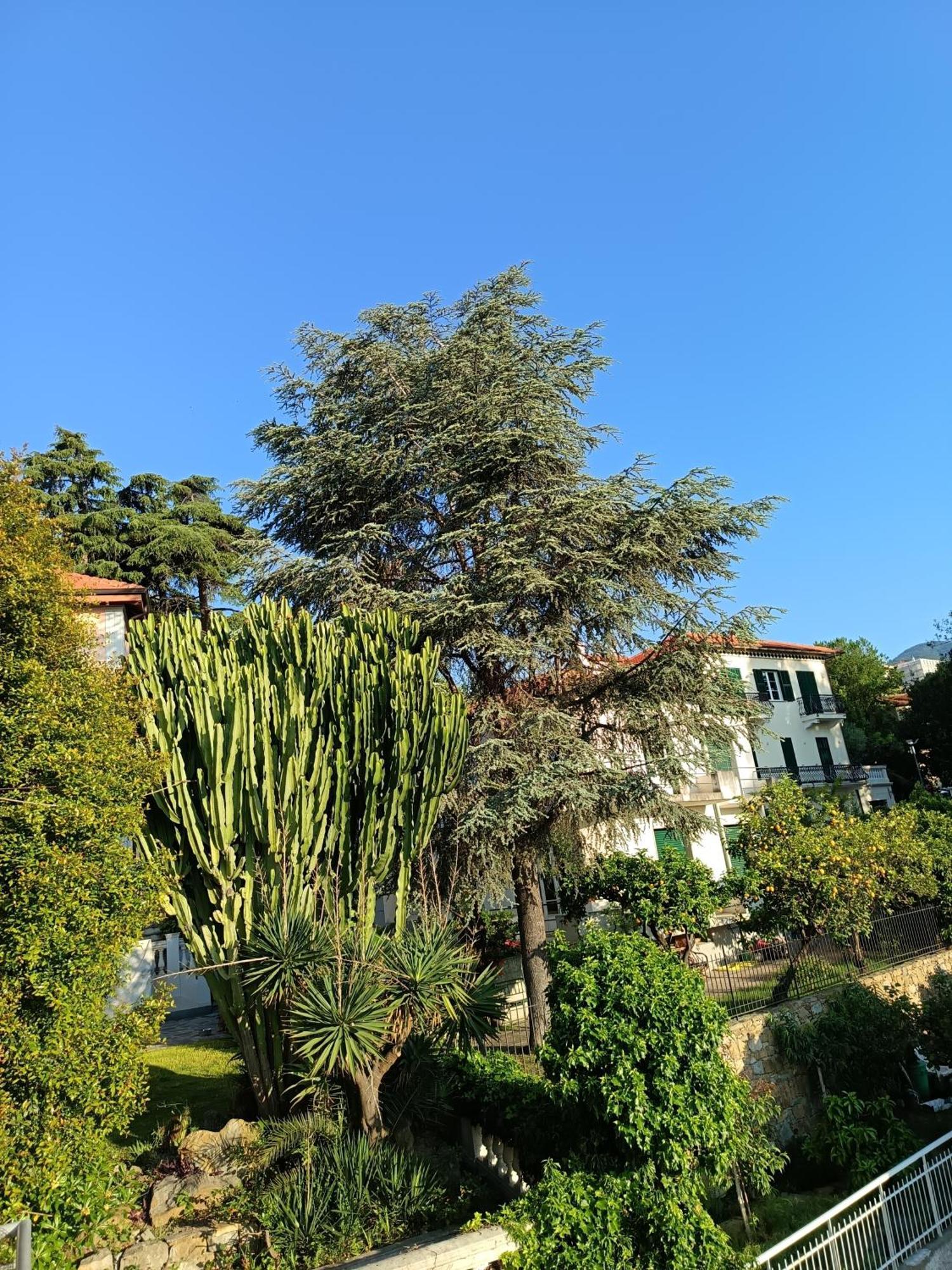 Apartamento Casa Francesca Con Parcheggio Gratuito San Remo Exterior foto